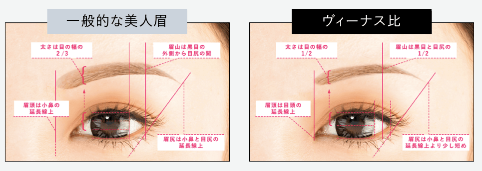 渋谷の森クリニック、眉のヴィーナス比